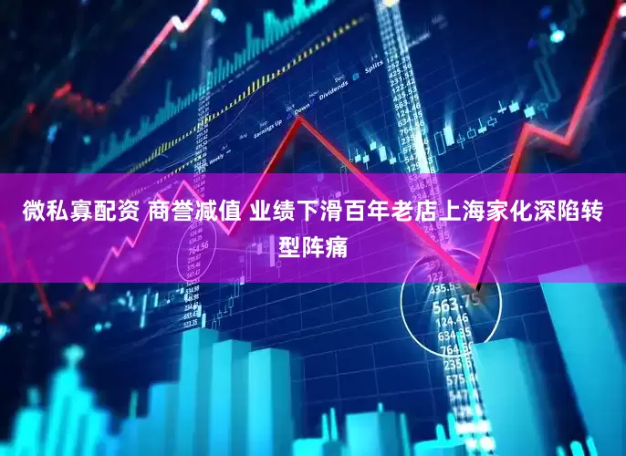 微私寡配资 商誉减值 业绩下滑百年老店上海家化深陷转型阵痛