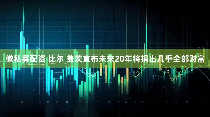 微私寡配资 比尔 盖茨宣布未来20年将捐出几乎全部财富
