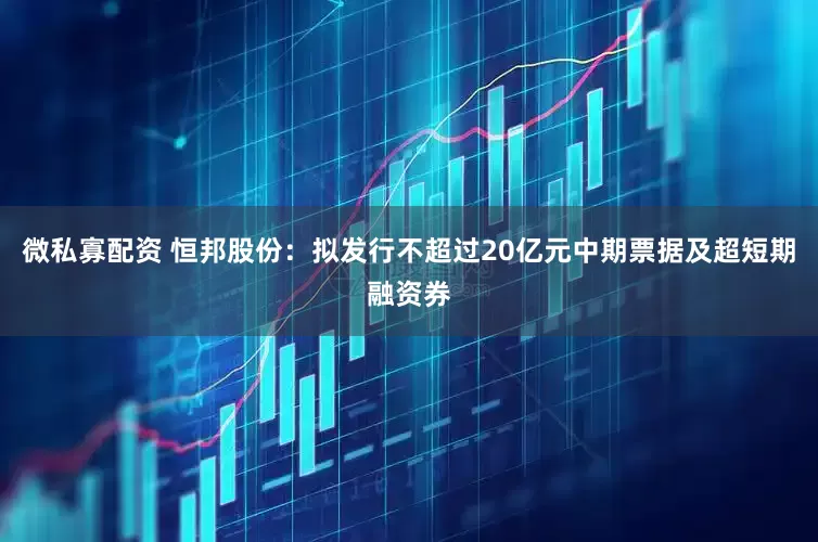 微私寡配资 恒邦股份：拟发行不超过20亿元中期票据及超短期融资券