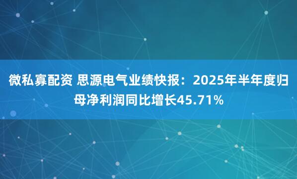 微私寡配资 思源电气业绩快报：2025年半年度归母净利润同比增长45.71%