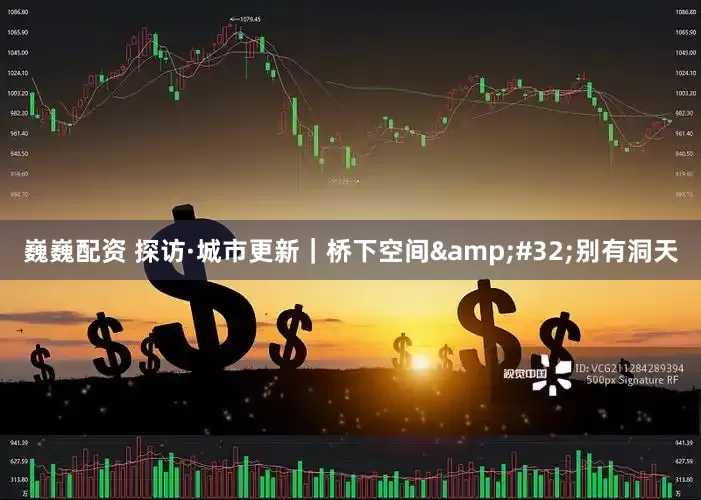 巍巍配资 探访·城市更新｜桥下空间&#32;别有洞天