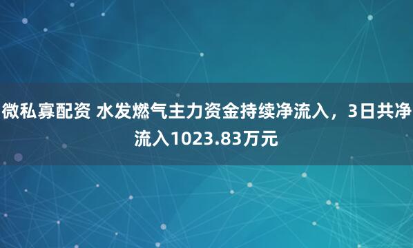 微私寡配资 水发燃气主力资金持续净流入，3日共净流入1023.83万元